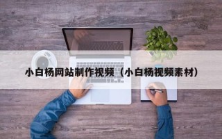 邹城小白杨网站制作视频（小白杨视频素材）