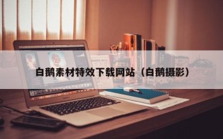 邹城白鹅素材特效下载网站（白鹅摄影）